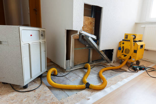 Best Residential Mold Inspection & Testing  in Quincy, MA